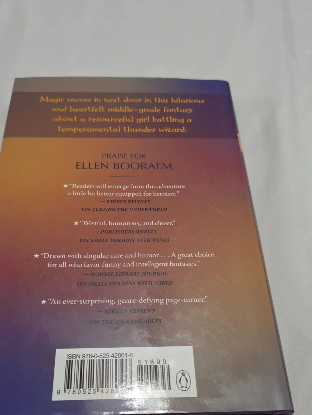 River Magic by Ellen Booraem - Hardcover